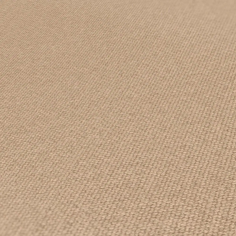 خلفية الشاشة -ref: 387444