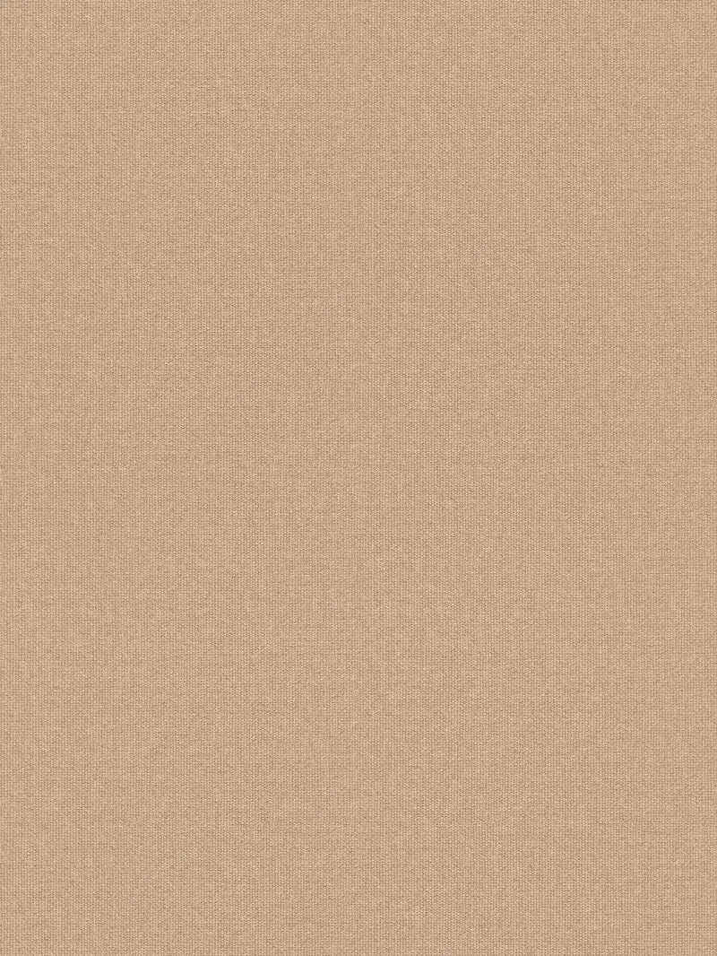 خلفية الشاشة -ref: 387444